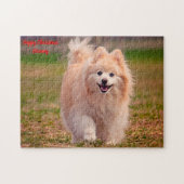 Spitz Hund. Puzzle (Horizontal)