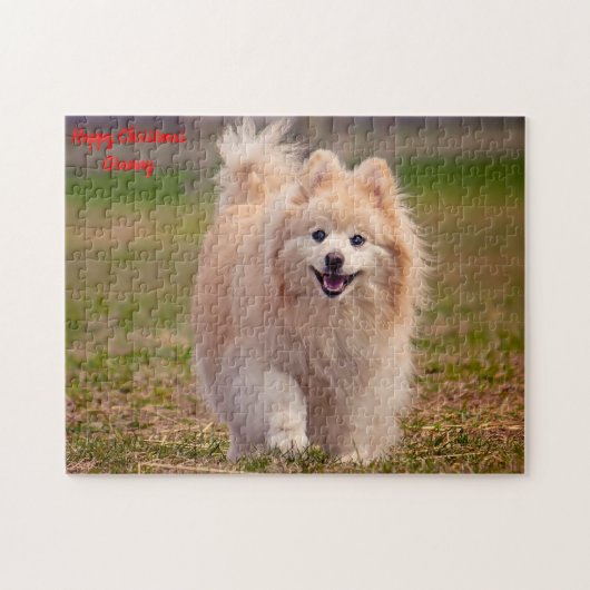 Spitz Hund. Puzzle (Horizontal)