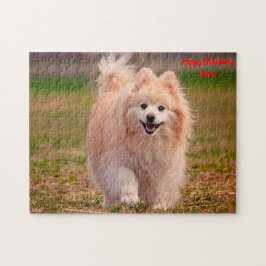 Spitz Hund. Puzzle