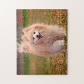 Spitz Hund. Puzzle (Vertikal)