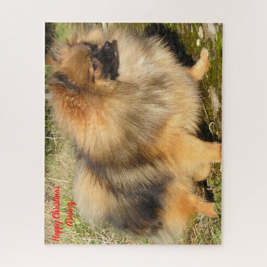 Spitz Hund. Puzzle (Vertikal)