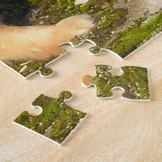 Spitz Hund. Puzzle (Seite)