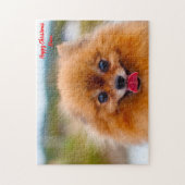 Spitz Hund. Puzzle (Vertikal)