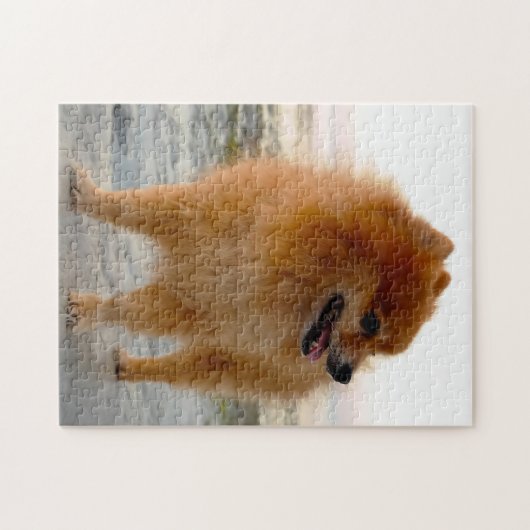 Spitz Hund. Puzzle (Horizontal)
