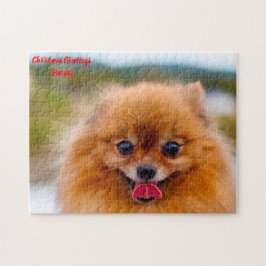 Spitz Hund. Puzzle