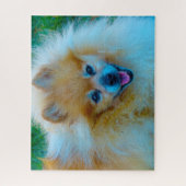 Spitz Hund. Puzzle (Vertikal)