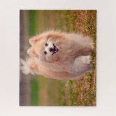 Spitz Hund. Puzzle (Vertikal)