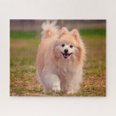 Spitz Hund. Puzzle (Horizontal)