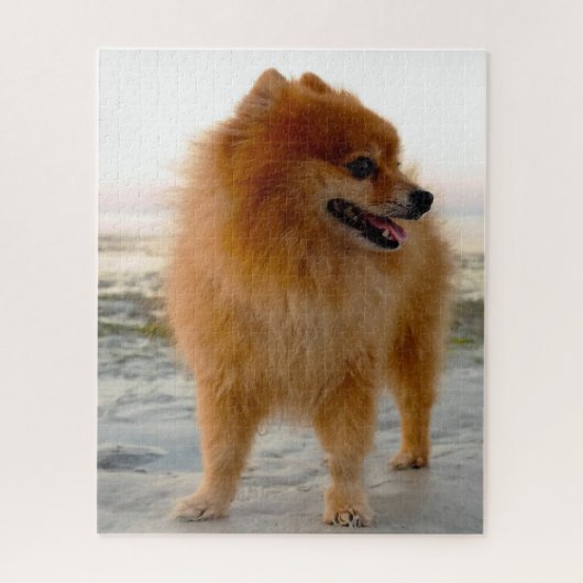 Spitz Hund. Puzzle (Vertikal)