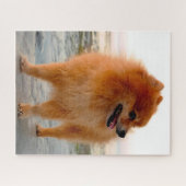 Spitz Hund. Puzzle (Horizontal)