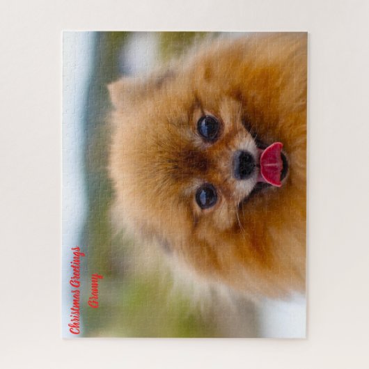 Spitz Hund. Puzzle (Vertikal)