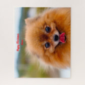 Spitz Hund. Puzzle (Vertikal)