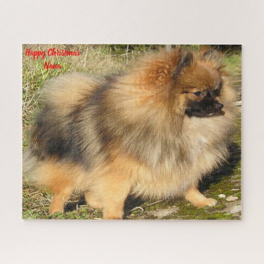 Spitz Hund. Puzzle (Horizontal)