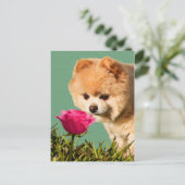 Spitz Hund und Rose Postkarte (Stehend Vorderseite)