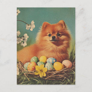 Spitz Hund Vintag Ostern Postkarte