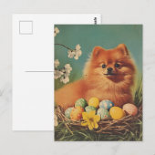 Spitz Hund Vintag Ostern Postkarte (Vorne/Hinten)