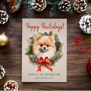 Spitz Hund Weihnachten glücklich Pawlidays Feierta