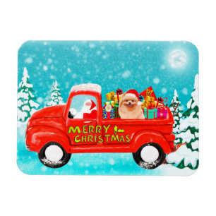 Spitz Hund Weihnachtswagen Magnet