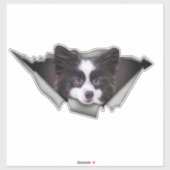 Spitz Hunde Hunde Aufkleber Spitz (Blatt)