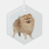 Spitz Hunde Tiergläser Ornament (Vorderseite)