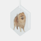 Spitz Hunde Tiergläser Ornament Aus Glas (Vorderseite Links)