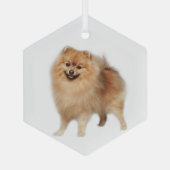 Spitz Hunde Tiergläser Ornament Aus Glas (Rückseite)
