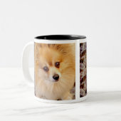 Spitz-Hundekaffee-Tasse Zweifarbige Tasse (Vorderseite Links)