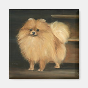 Spitz-Hundekunst-Magnet Magnet