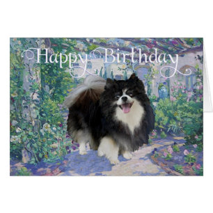 Spitz im Blumengarten