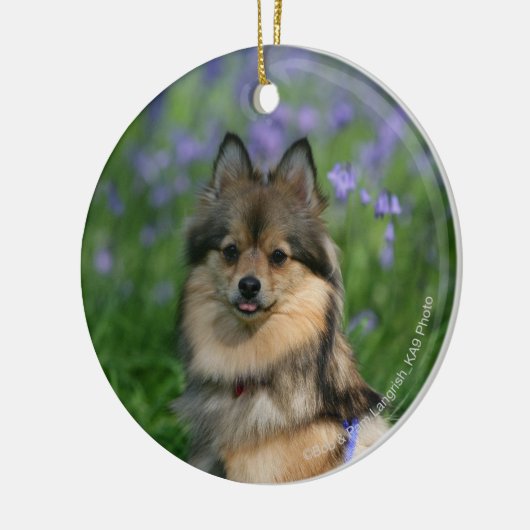 Spitz im Gras Keramik Ornament (Links)