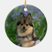 Spitz im Gras Keramik Ornament (Hinten)