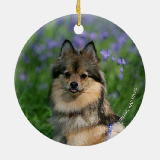 Spitz im Gras Keramik Ornament (Hinten)