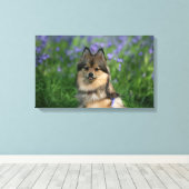 Spitz im Gras Leinwanddruck (Insitu (Holzboden))