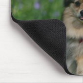 Spitz im Gras Mousepad (Ecke)