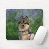 Spitz im Gras Mousepad (Mit Mouse)