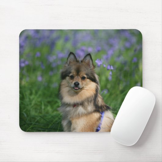 Spitz im Gras Mousepad (Mit Mouse)