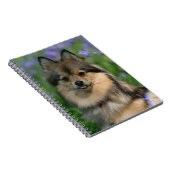 Spitz im Gras Notizblock (Rechte Seite)