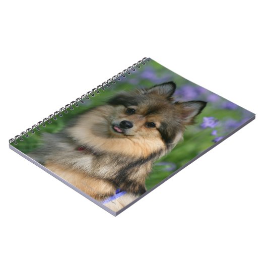 Spitz im Gras Notizblock (Linke Seite)