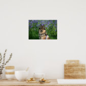 Spitz im Gras Poster (Küche)