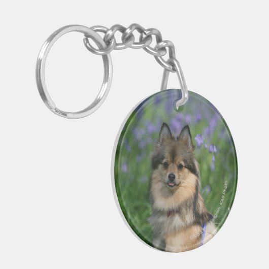 Spitz im Gras Schlüsselanhänger (Vorderseite links)