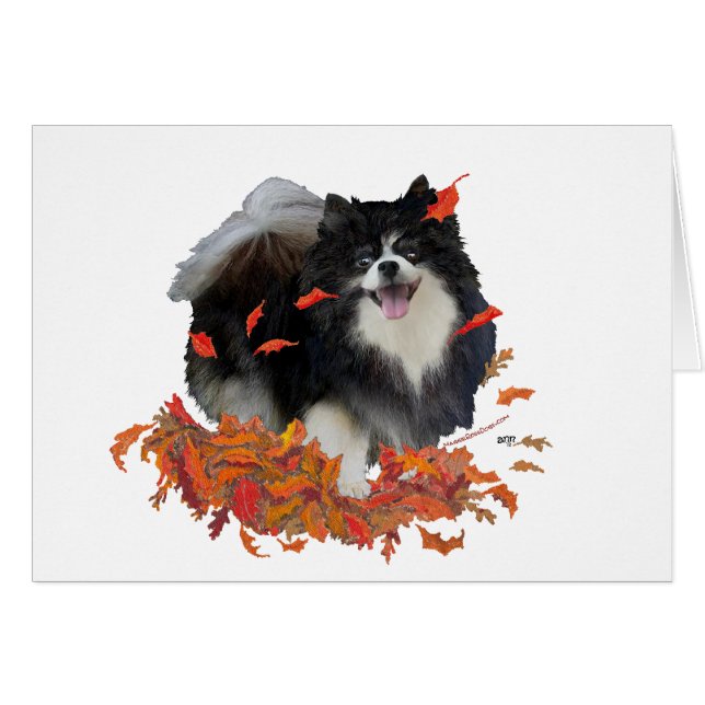 Spitz im Herbst (Vorderseite (Horizontal))