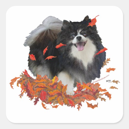 Spitz im Herbst Quadratischer Aufkleber (Vorderseite)