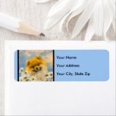 Spitz in der Malerei von Daisis - Originale Hundek (Insitu)