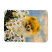 Spitz in der Malerei von Daisis - Originale Hundek Magnet (Horizontal)