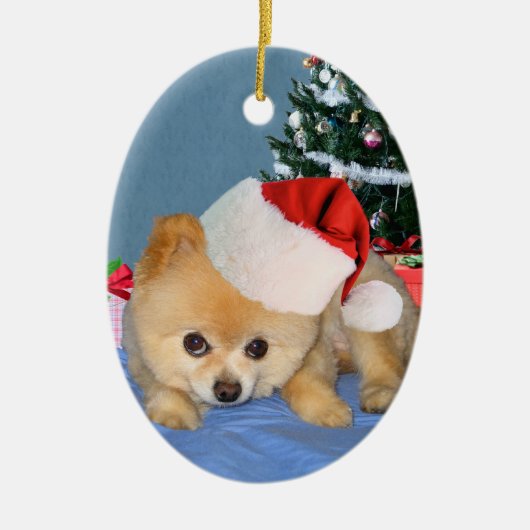 Spitz in der Weihnachtsmannmütze-Verzierung Keramik Ornament (Vorne)