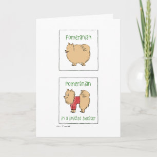 Spitz in einem gegossenen Pulli Weihnachten