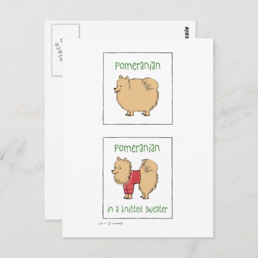 Spitz in einem gegossenen Pullover Postkarte (Vorne/Hinten)