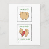 Spitz in einem gegossenen Pullover Postkarte (Vorderseite)