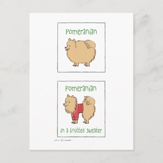 Spitz in einem gegossenen Pullover Postkarte (Vorderseite)
