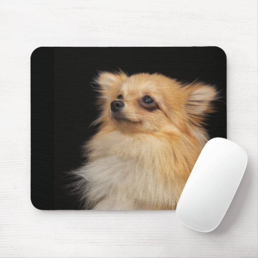 Spitz in Schwarz Mousepad (Mit Mouse)